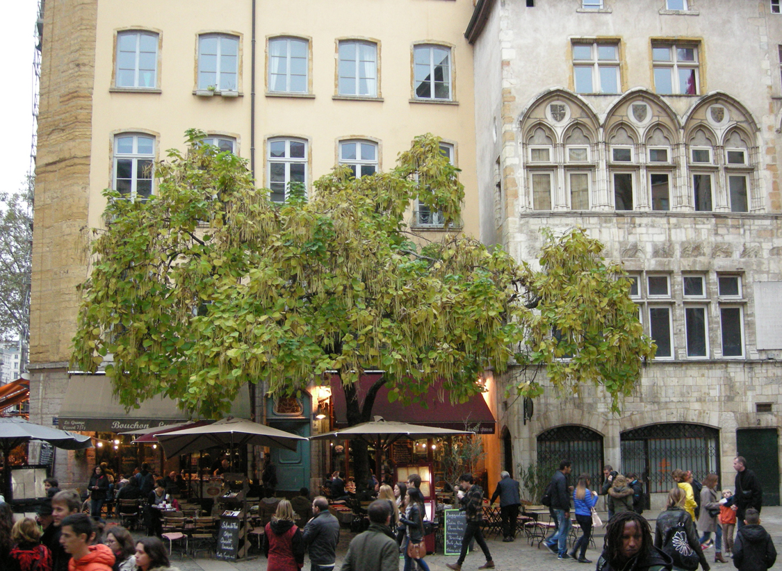 Lione 028.jpg